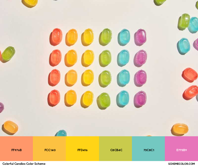 Color Palette image