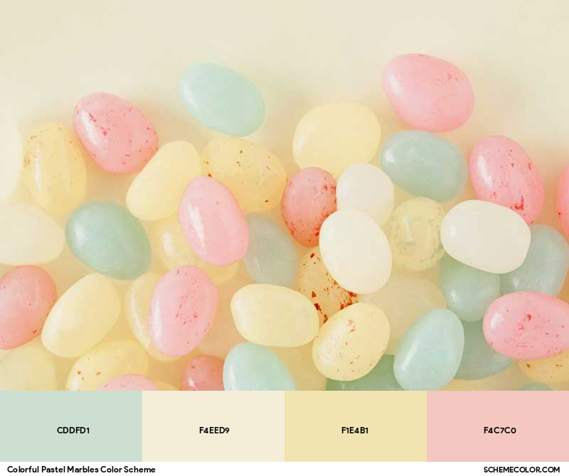 Color Palette image