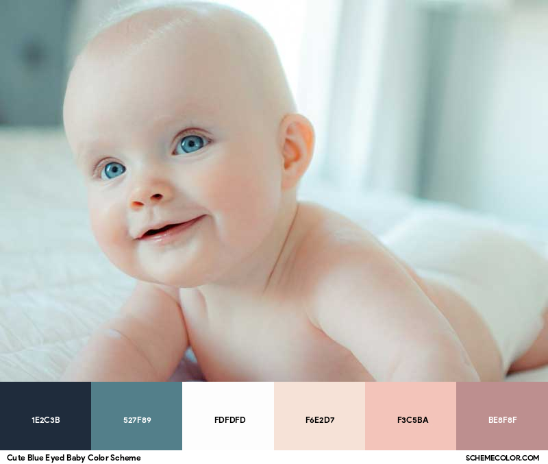Color Palette image