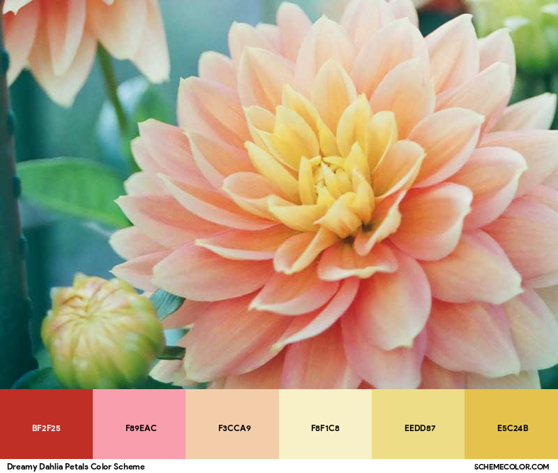 Color Palette image