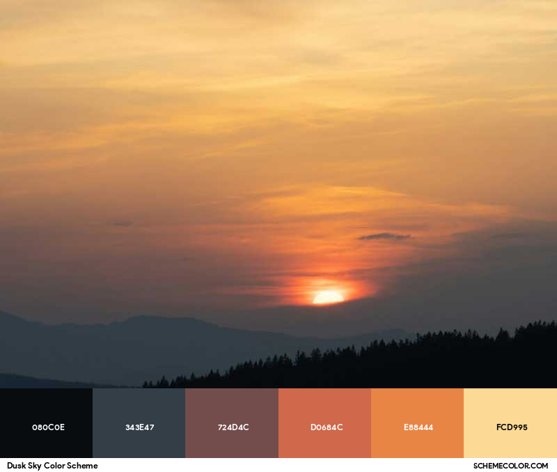 Color Palette image