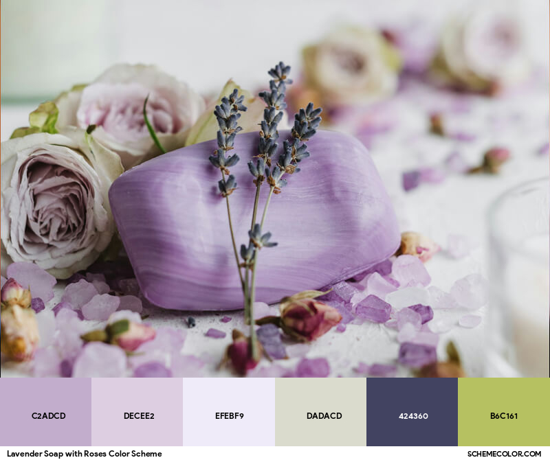 Color Palette image