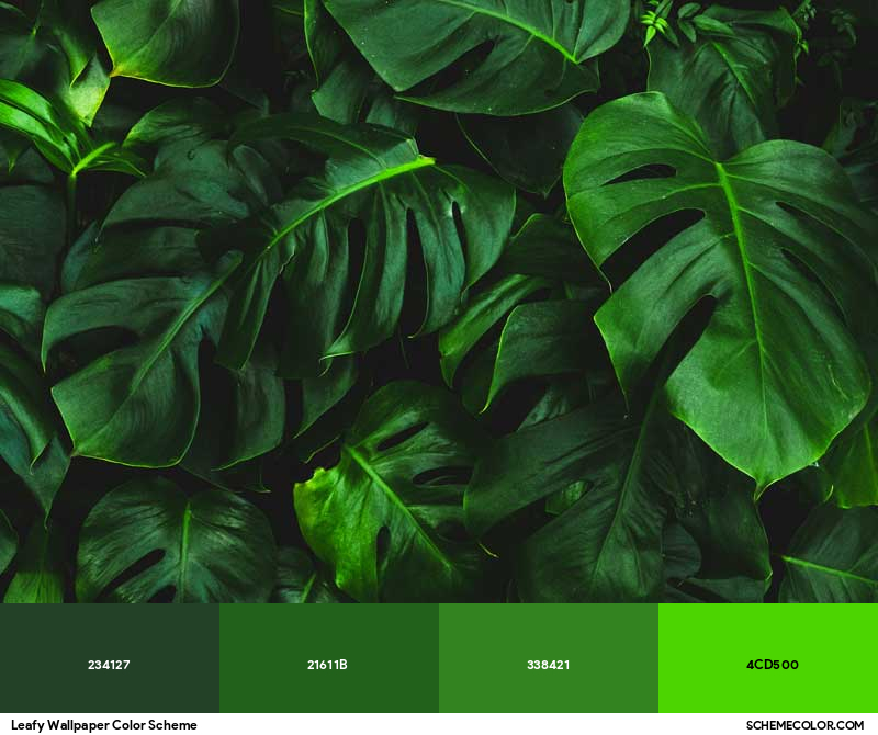 Color Palette image
