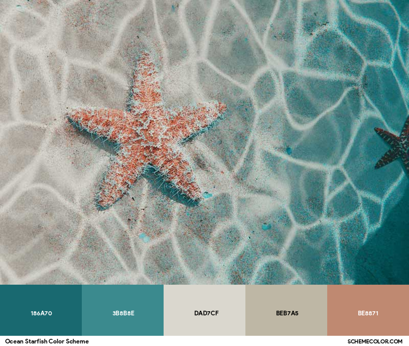 Color Palette image