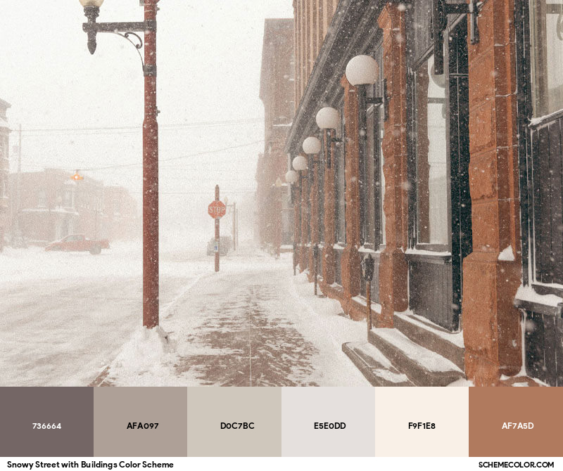 Color Palette image