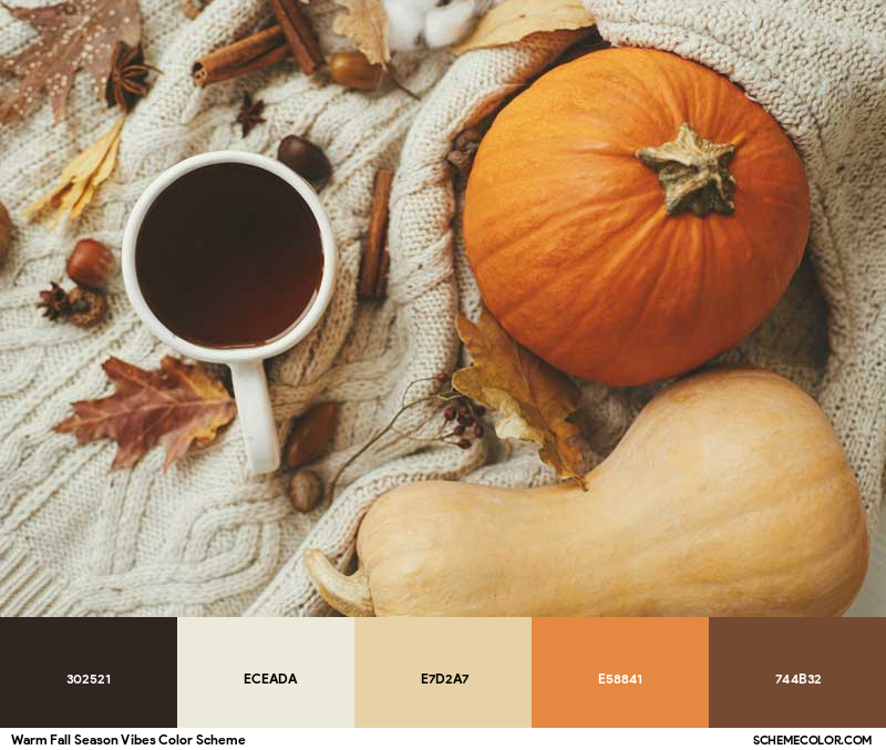 Color Palette image