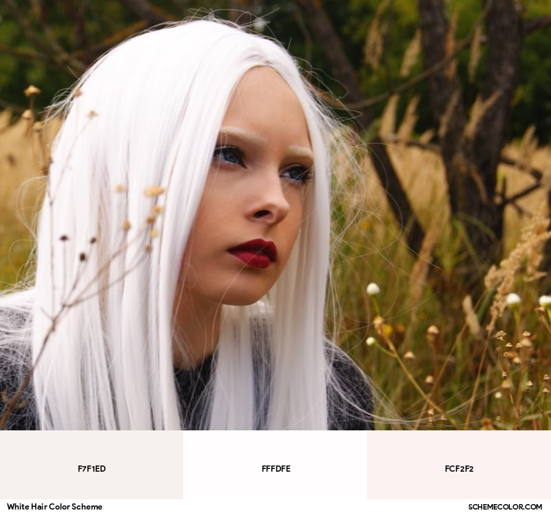 White Hair Color Scheme - Image Color Palettes - SchemeColor.com