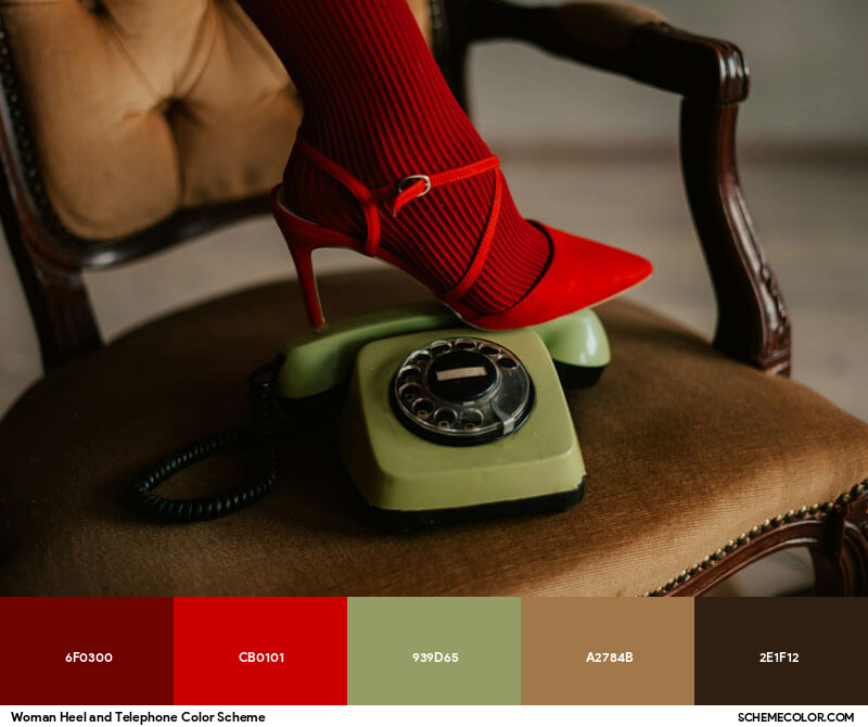 Color Palette image