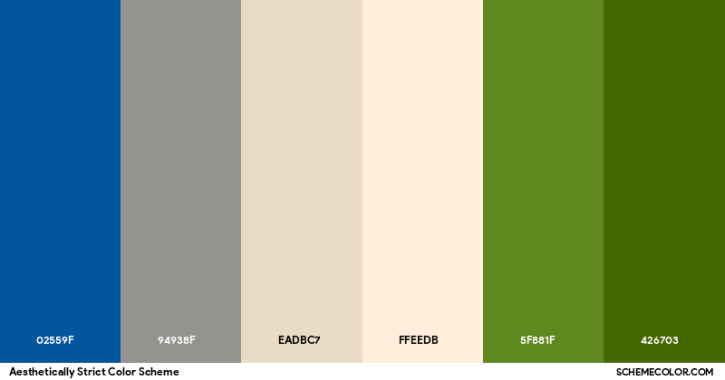 Strict Color Aesthetically Strict Color Scheme - Palettes - SchemeColor.com