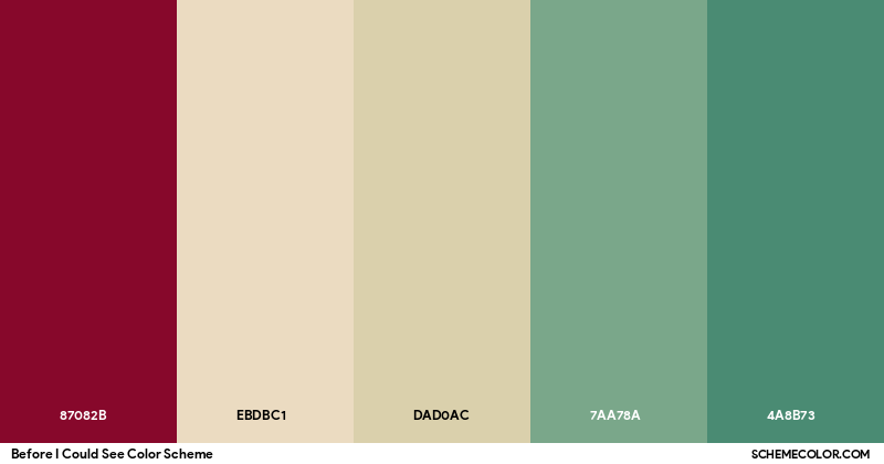 Before I Could See Color Scheme - Palettes - SchemeColor.com