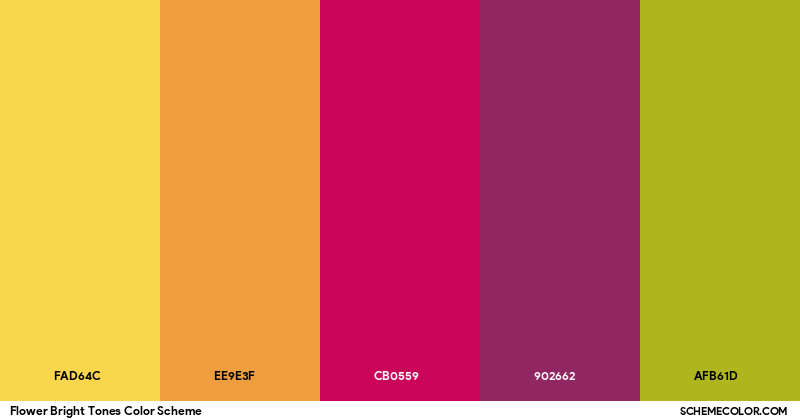 Flower Bright Tones Color Scheme - Palettes - SchemeColor.com