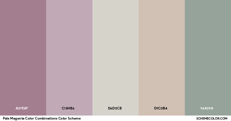 Pale Magenta Color Combinations Color Scheme - Palettes - SchemeColor.com
