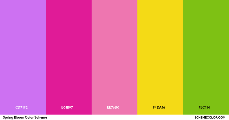 Color Fresh Bloom Spring Bloom Color Scheme - Palettes - SchemeColor.com