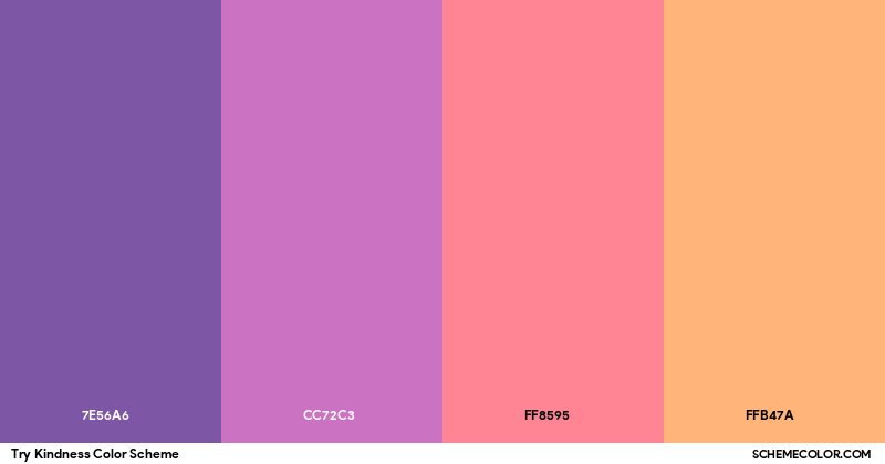 Try Kindness Color Scheme - Palettes - SchemeColor.com