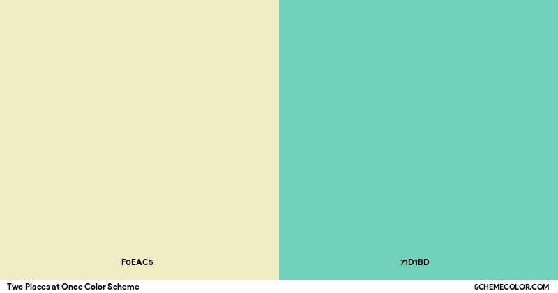 Two Places at Once Color Scheme - Palettes - SchemeColor.com