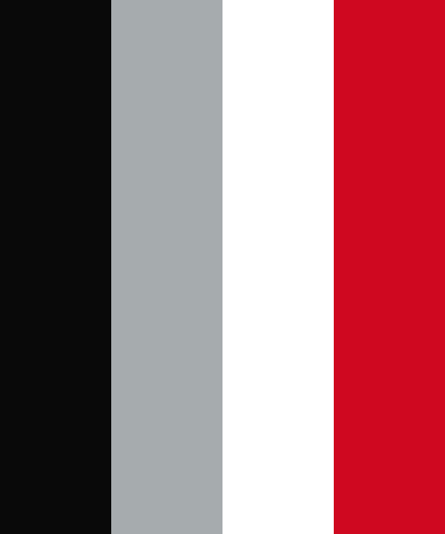 Carolina Hurricanes flag color codes