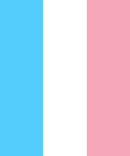 Transgender Pride Flag Colors Color Scheme Blue Schemecolor Com - pastel pink and blue roblox logo
