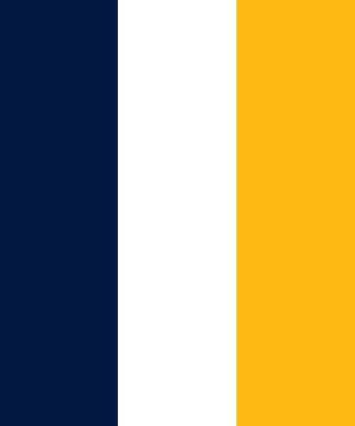 Nashville Predators flag color codes