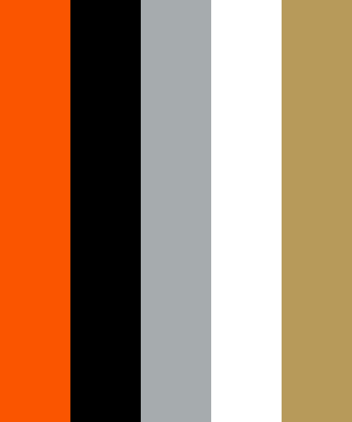 Anaheim Ducks Colors - Team Color Codes