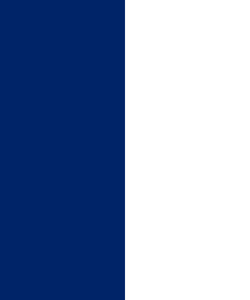 Tampa Bay Lightning Logo Color Scheme » Blue » 