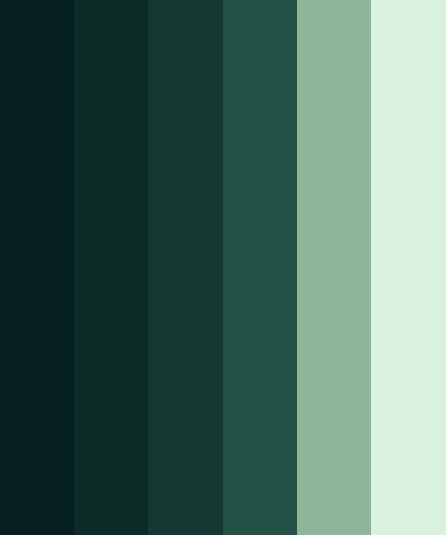 Dark Forest Greens Color Scheme » Green »