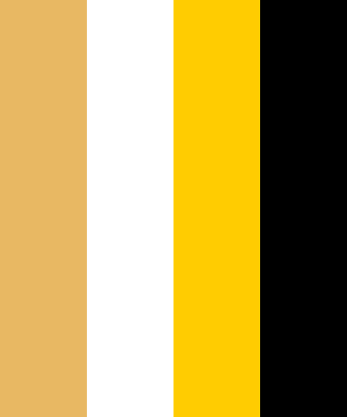 Download Springboks Logo Color Scheme Black Schemecolor Com