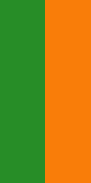 Bharatiya Janata Party (BJP) Flag Colors Color Scheme » Flags »  