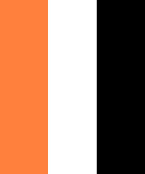Orange Is The New Black Color Scheme » Orange »