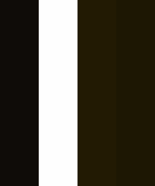 Shiny Jet Black Color Scheme » Black » 