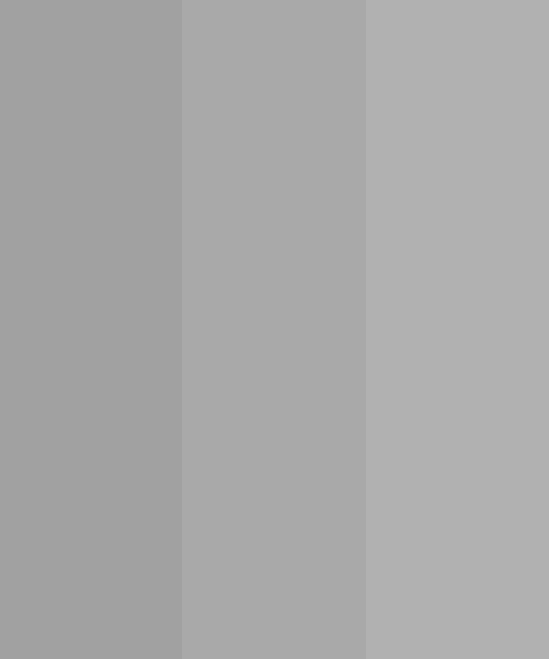 Dark Grey Matte Color Scheme » Gray »
