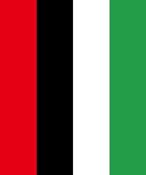 Download Libya Flag Colors » Country Flags » SchemeColor.com