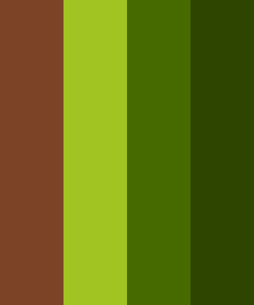 Outdoorsy & Natural Color Scheme » Brown » SchemeColor.com
