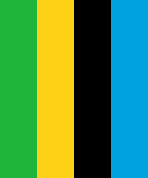 Tanzania National Flag Colors Horizontal Striped Leggings