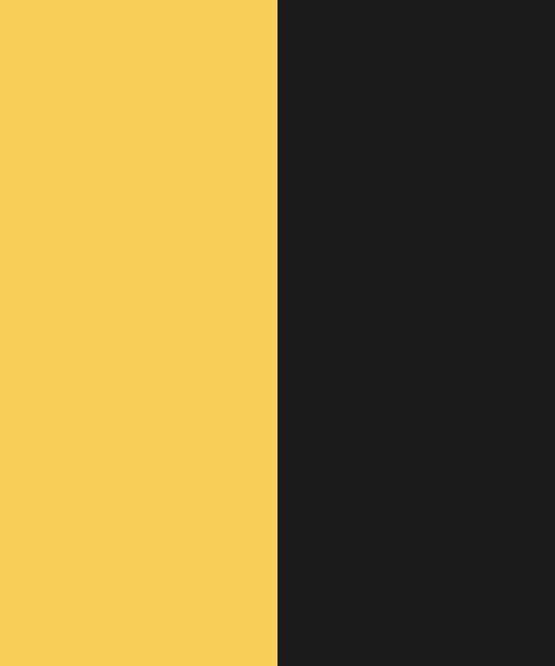 Road Divider Black And Yellow Color Scheme » Black »