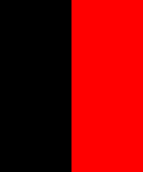 Dravida Munnetra Kazhagam Dmk Flag Colors Color Scheme Black Schemecolor Com