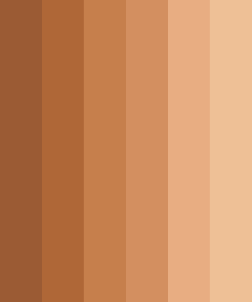 Tanned Skin Color Scheme Brown