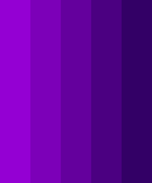 Vent et øjeblik audition umoral Dark-Light Violet Gradient Color Scheme » Monochromatic » SchemeColor.com