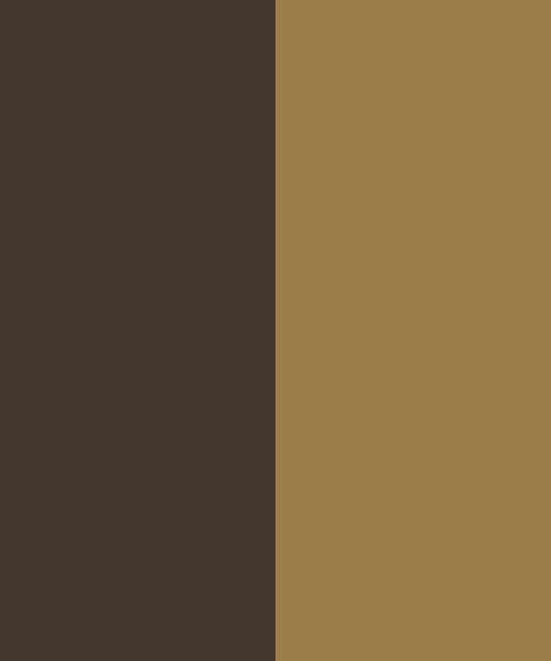 vuitton brown color code