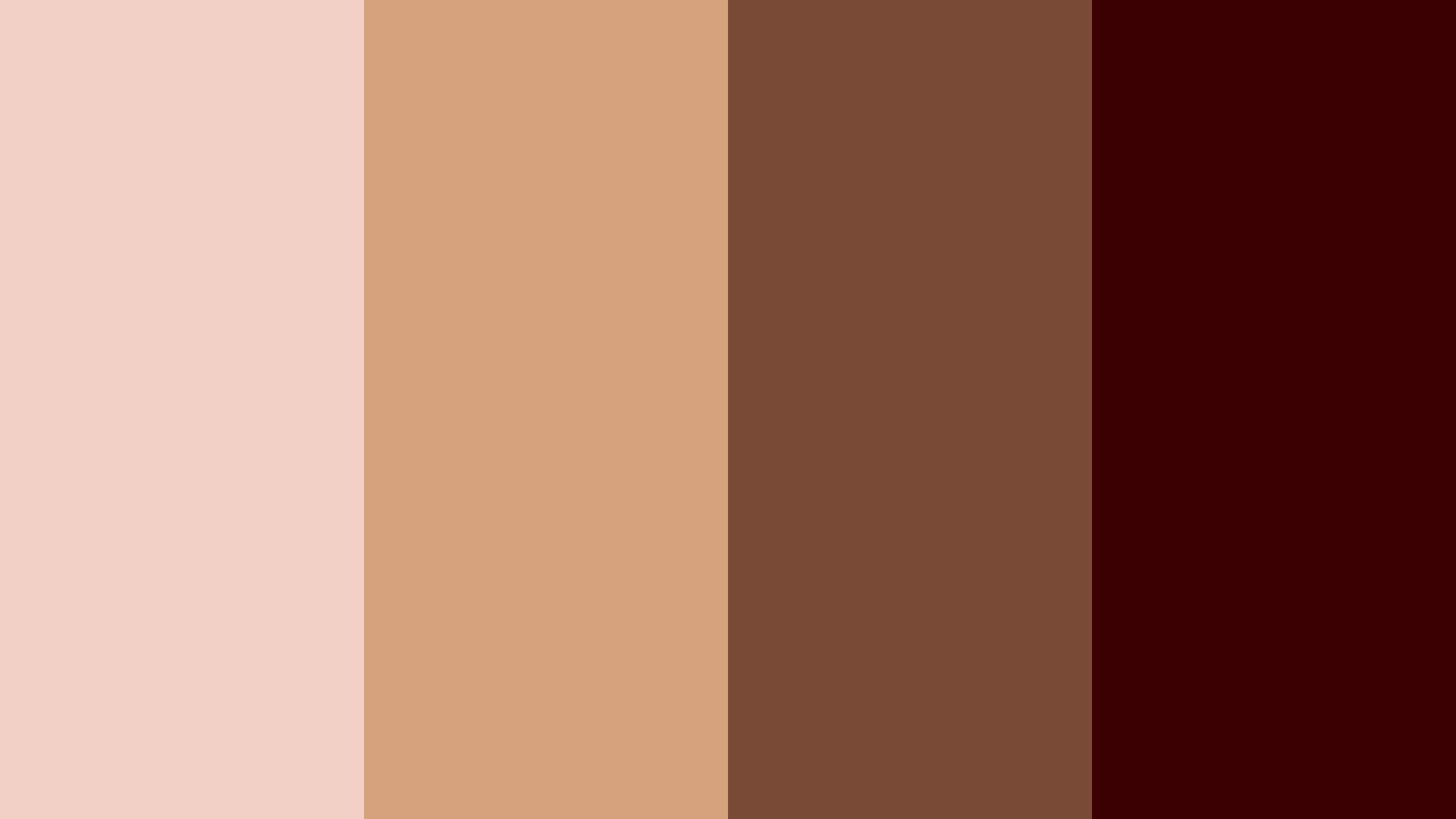 Makeup Set Color Scheme Brown