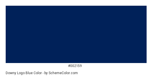 Downy Logo Blue - Color scheme palette thumbnail - #002159 