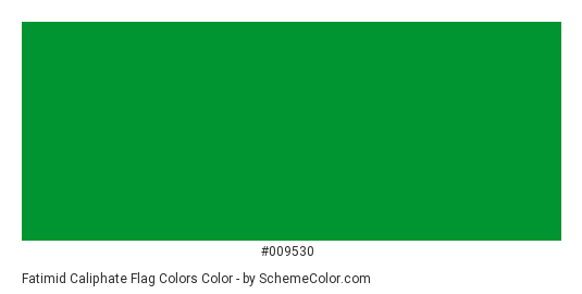 Fatimid Caliphate Flag Colors - Color scheme palette thumbnail - #009530 