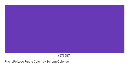 PhonePe Logo Purple - Color scheme palette thumbnail - #6739b7 