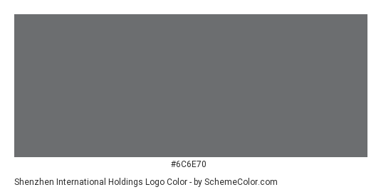 Shenzhen International Holdings Logo - Color scheme palette thumbnail - #6c6e70 