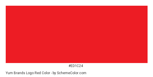 Yum Brands Logo Red - Color scheme palette thumbnail - #ed1c24 