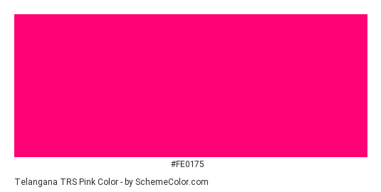 Telangana TRS pink - Color scheme palette thumbnail - #fe0175 