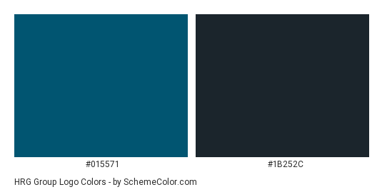 HRG Group Logo - Color scheme palette thumbnail - #015571 #1b252c 