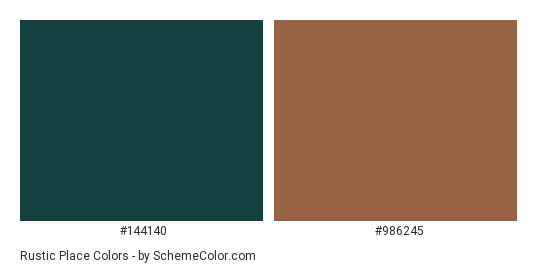 Rustic Place - Color scheme palette thumbnail - #144140 #986245 