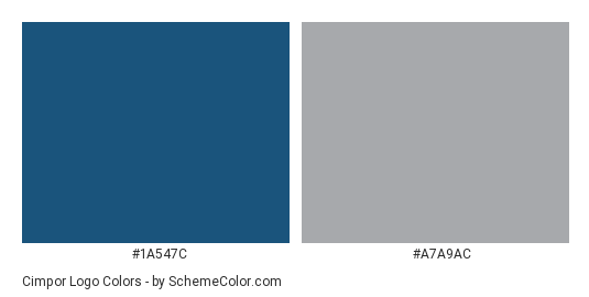 Cimpor Logo - Color scheme palette thumbnail - #1a547c #a7a9ac 