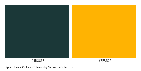 Springboks Colors - Color scheme palette thumbnail - #1b3838 #ffb302 