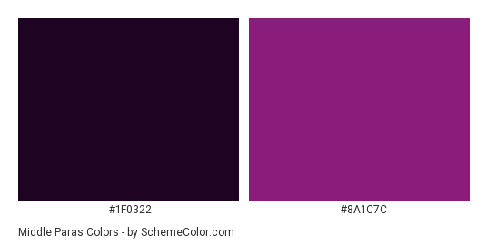 Middle Paras - Color scheme palette thumbnail - #1f0322 #8a1c7c 